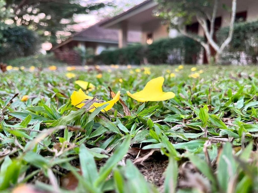 บ้าน เชิงเขา รีสอร์ท ระนอง ภายนอก รูปภาพ